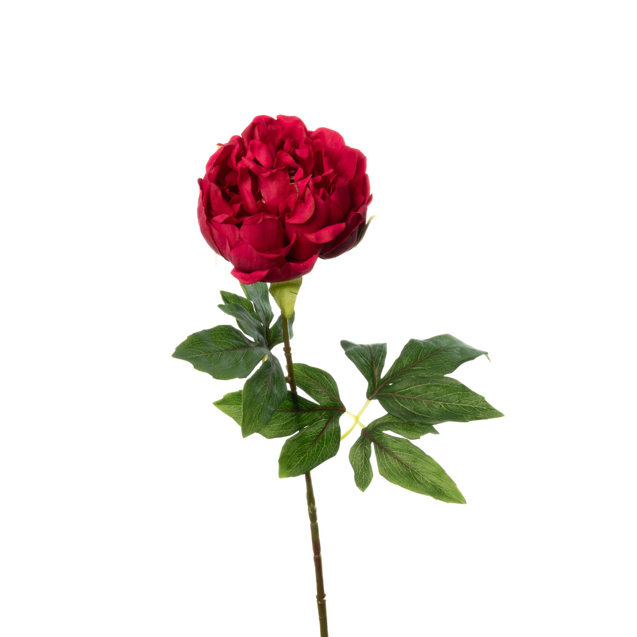 Mills Floral Company - Wholesale Artificial Flowers - Real Touch Peony Stem - Dark Pink - 23 Inch0