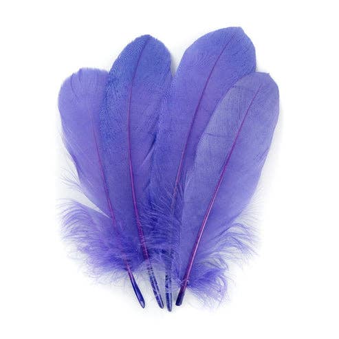 Goose Pallet Feathers 6-8" - 12 pezzi - Lavanda per la vendita all'ingrosso da parte di Zucker Feather Products