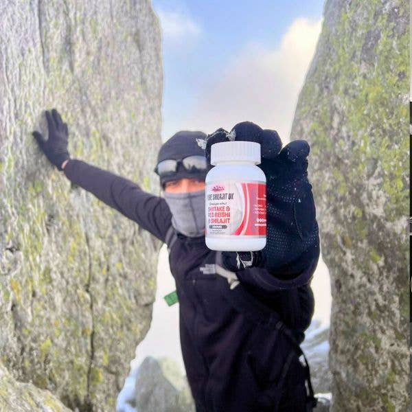 Pure Shilajit UK - Vente Supplément oral/vitamine - Gélules de Shiitake, Reishi & Shilajit – Mélange de guérison quotidien2