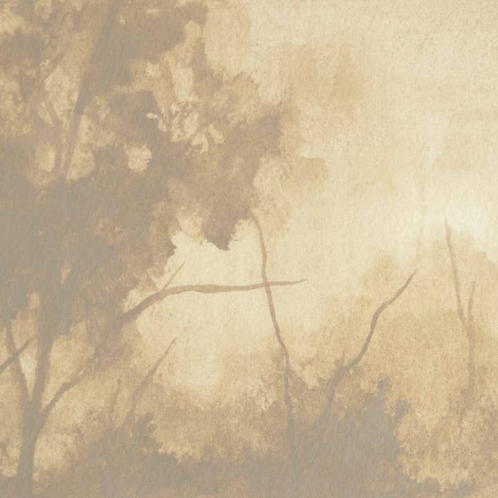 Restored XIII for wholesale by The Cedarhouse