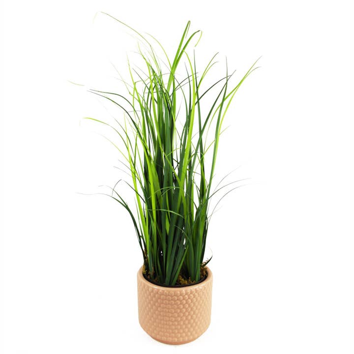 Leaf Design UK LTD - Venta al por mayor Plantas artificiales - Planta de césped artificial, follaje, planta de limoncillo, plantas de 60 cm