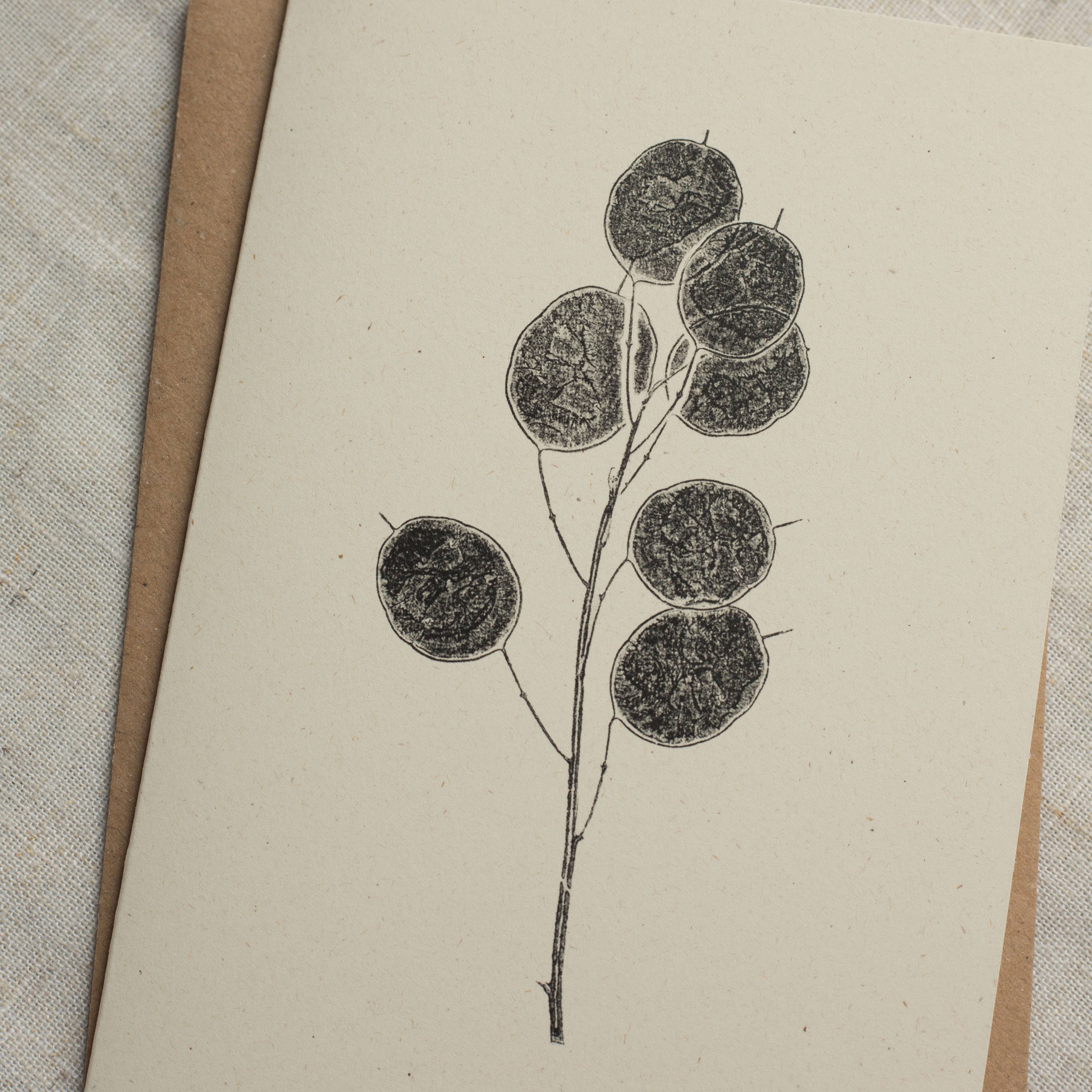 Alicia Breakspear - Wholesale Everyday Greeting Card - Honesty Pods Floral Greeting Card A6 Recycled Card 4