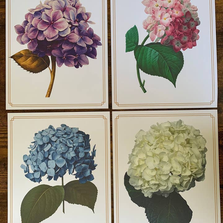 Set Of 4 Art Prints Of Hydrangea Flowers, Floral Art Images, and other Purchase Wholesale 11x14 frames. Free Returns & Net 60 Terms on Faire trending on Faire.