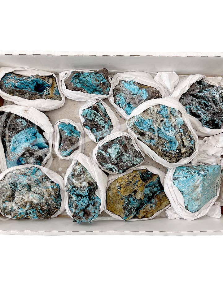 (KG)SPECIMEN - CHRYSOCOLLA 1-6" for wholesale by Oceanic Linkways Inc