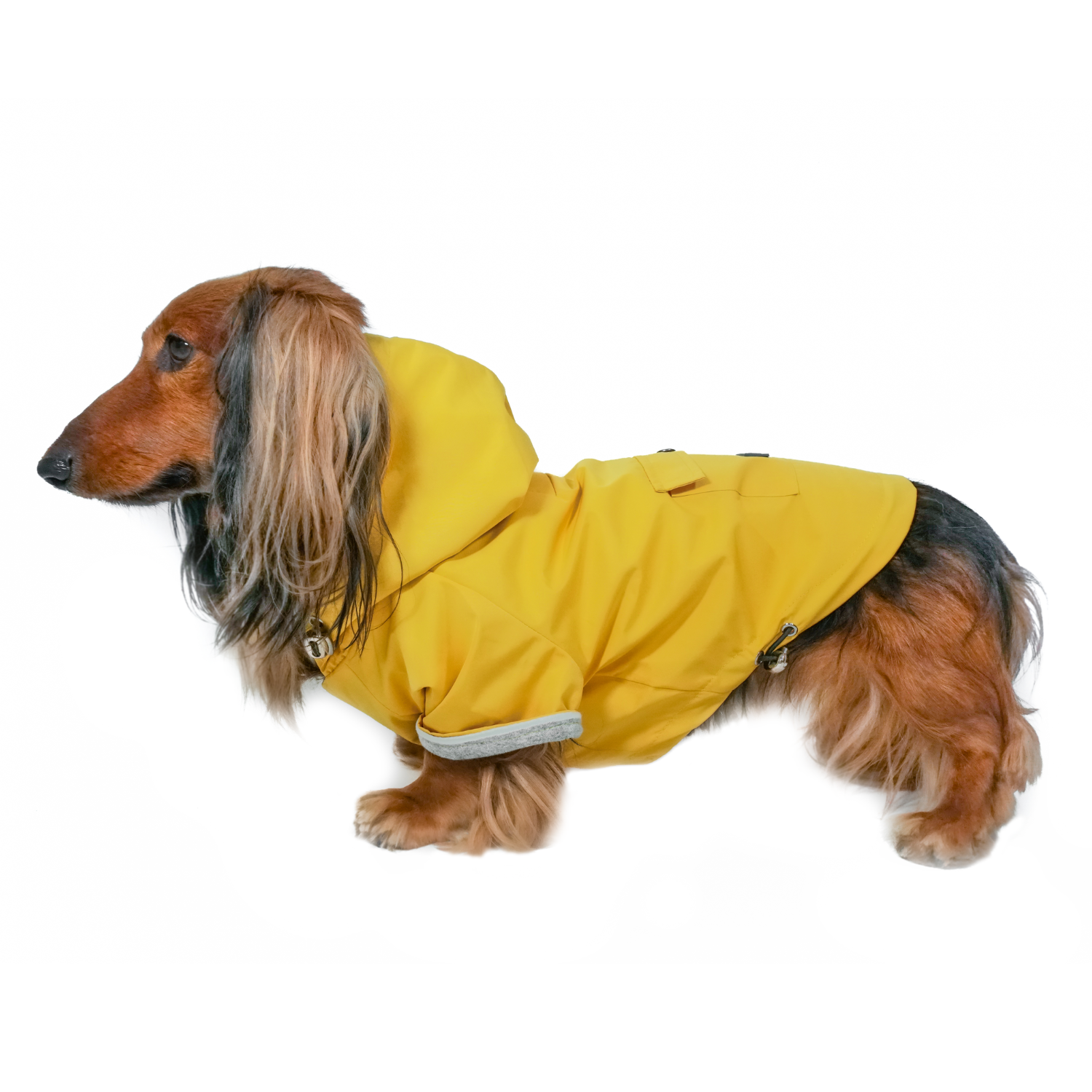 DJANGO - Wholesale Pet Raincoat - Dog - Highland Dog Jacket and Raincoat - Dandelion Yellow0