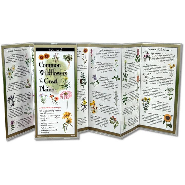 Common Wildflowers of the Great Plains FoldingGuide™ for wholesale by Earth Sky + Water