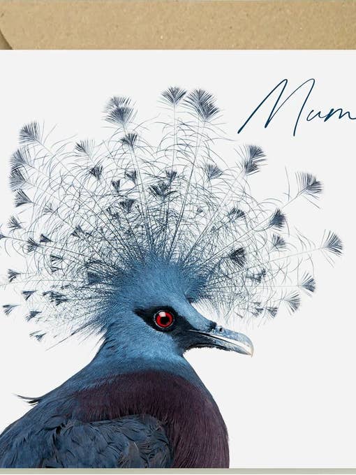 Piccione coronato di Vittoria - Mamma per la vendita all'ingrosso da parte di The Wildlife Library