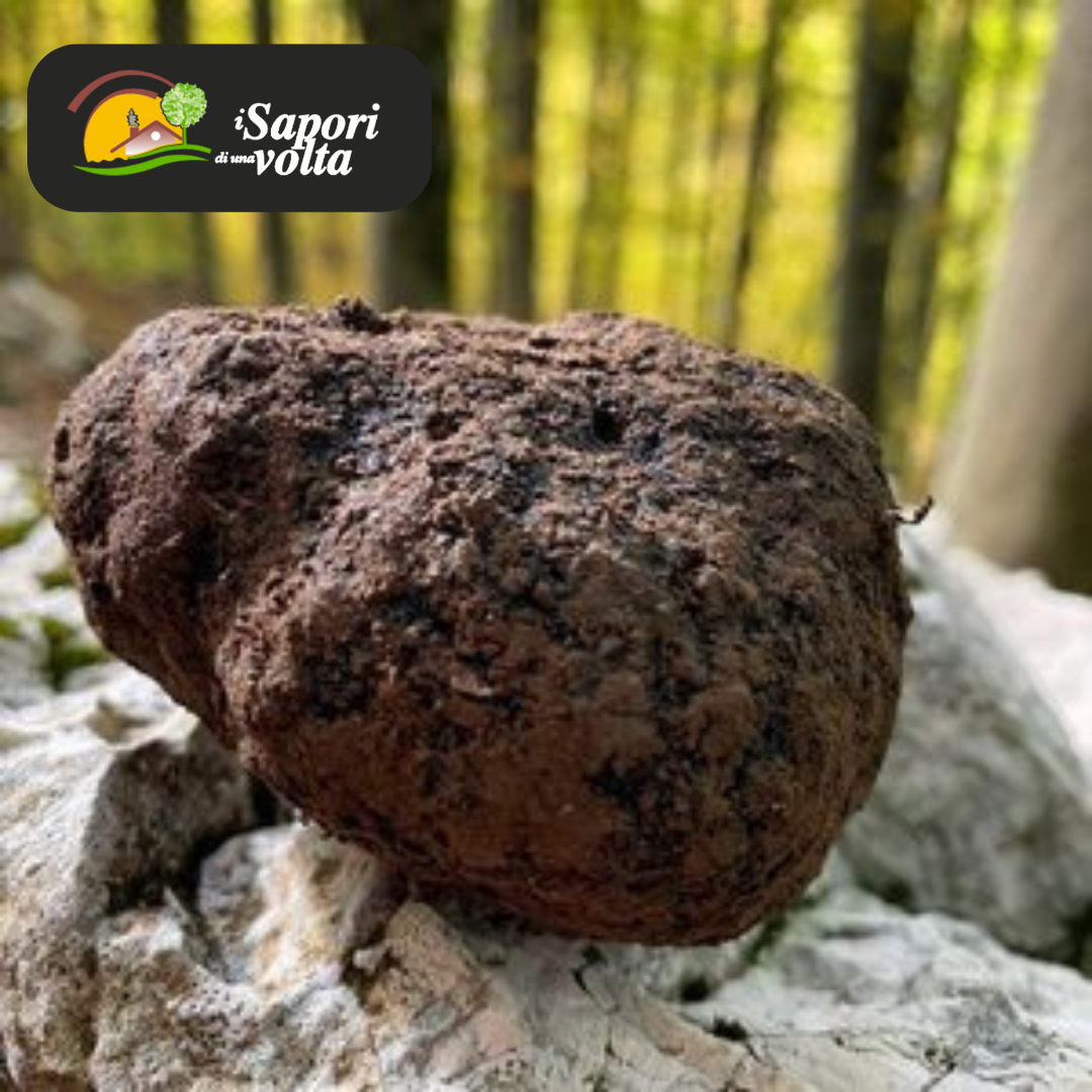 I sapori di una volta s.r.l.s - Wholesale Salad Dressing - Black truffle from Bagnoli Irpino (Tuber Mesentericum)3