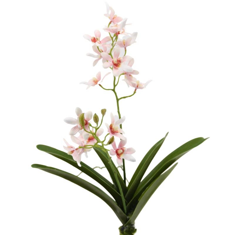 Floratexx – wholesale Artificial flowers – Vanda orchid with leaves 43 cm pink0