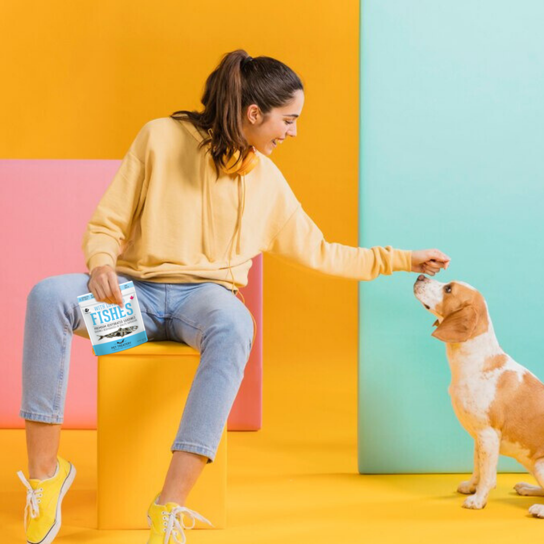 The Granville Island Pet Treatery (USA) - Wholesale Pet Treats - Dog - Sardines Dehydrated Pet Treats: High-Protein & Natural 90g6