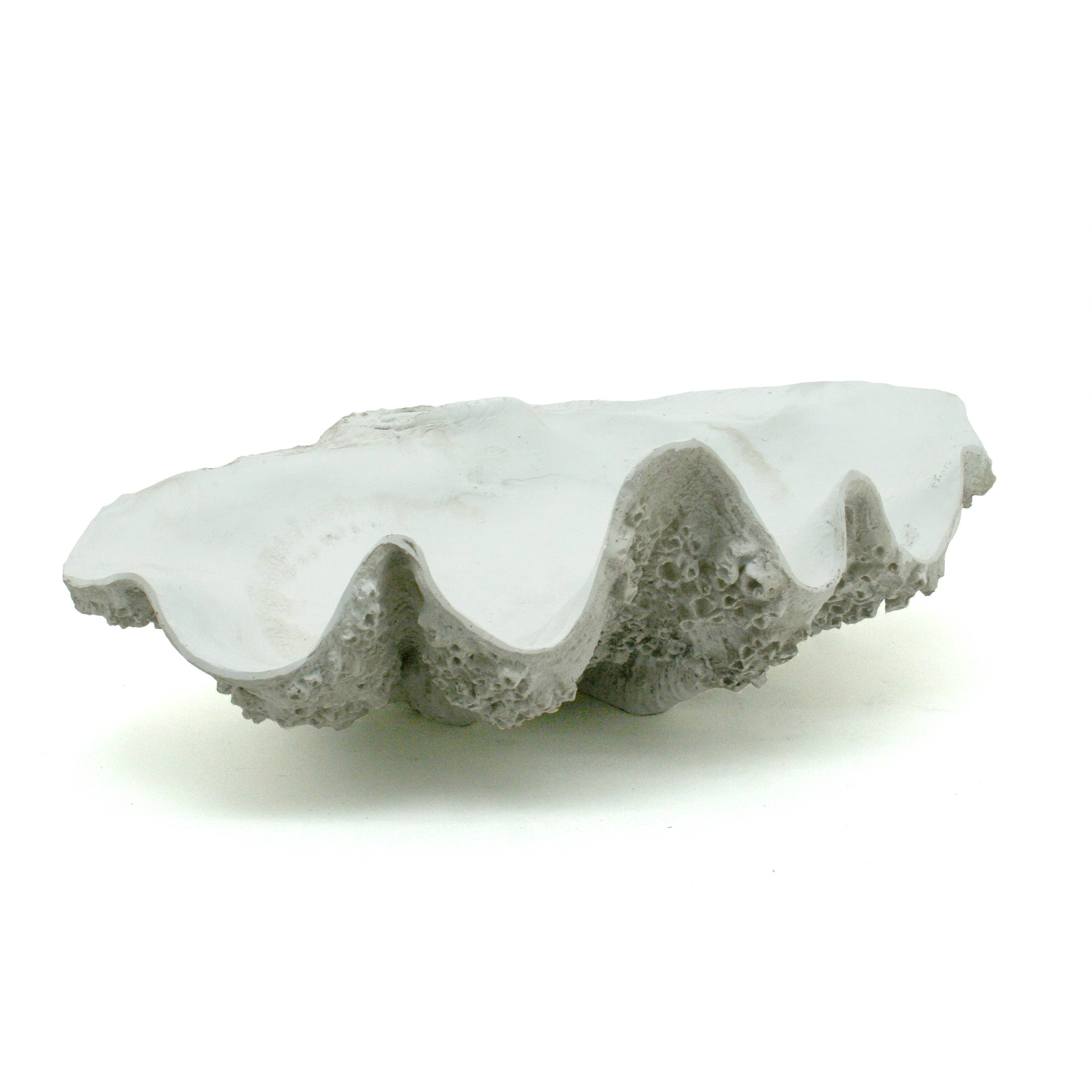 Modern Coastal by Contrast Inc. – wholesale Dekorativt bordsobjekt – Gigas musselskal med havstulpaner1