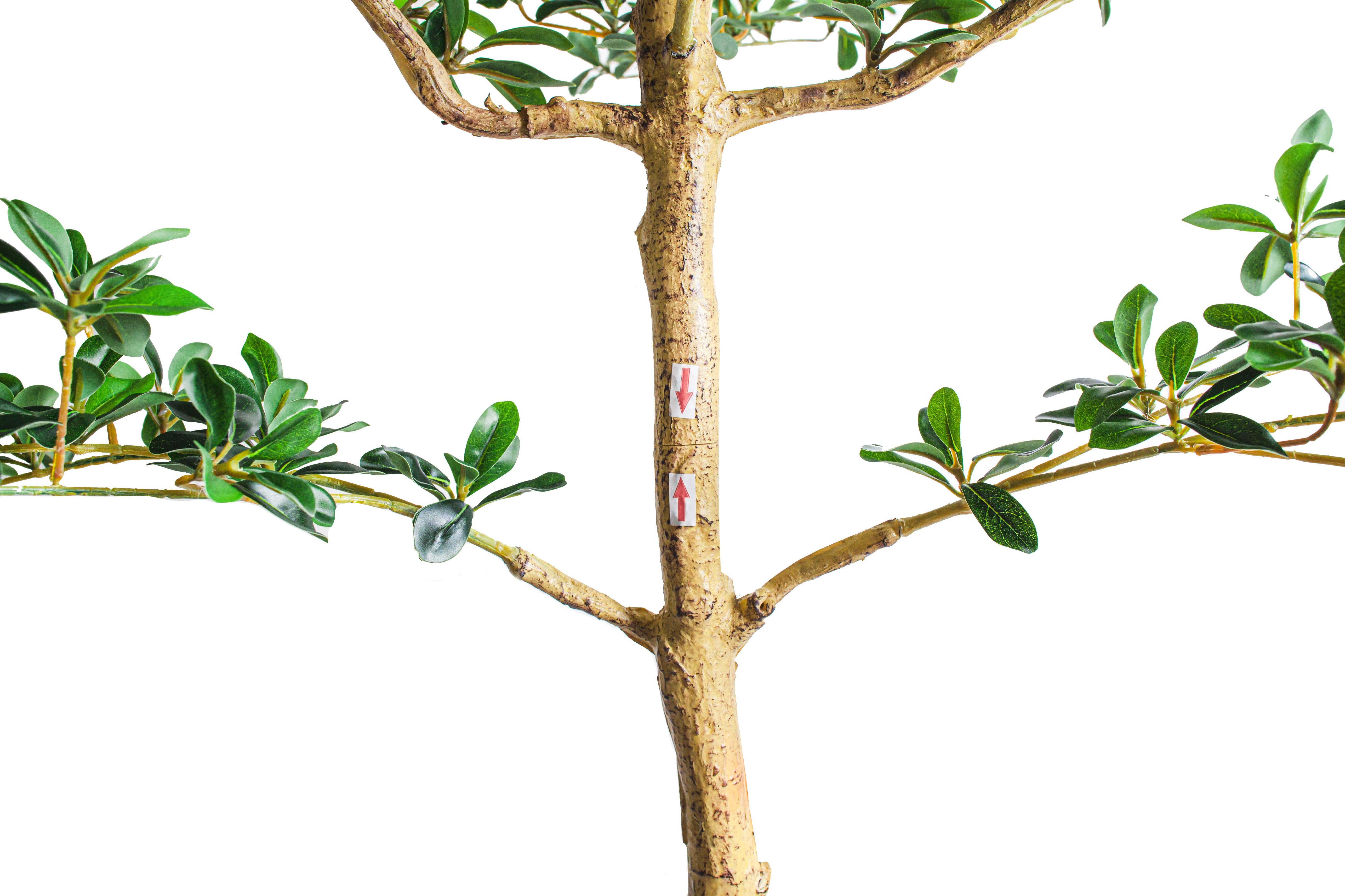 Replica Plants and Decor - Vente Plantes artificielles - Olivier noir Shady Lady de 1,80 m   FP14452