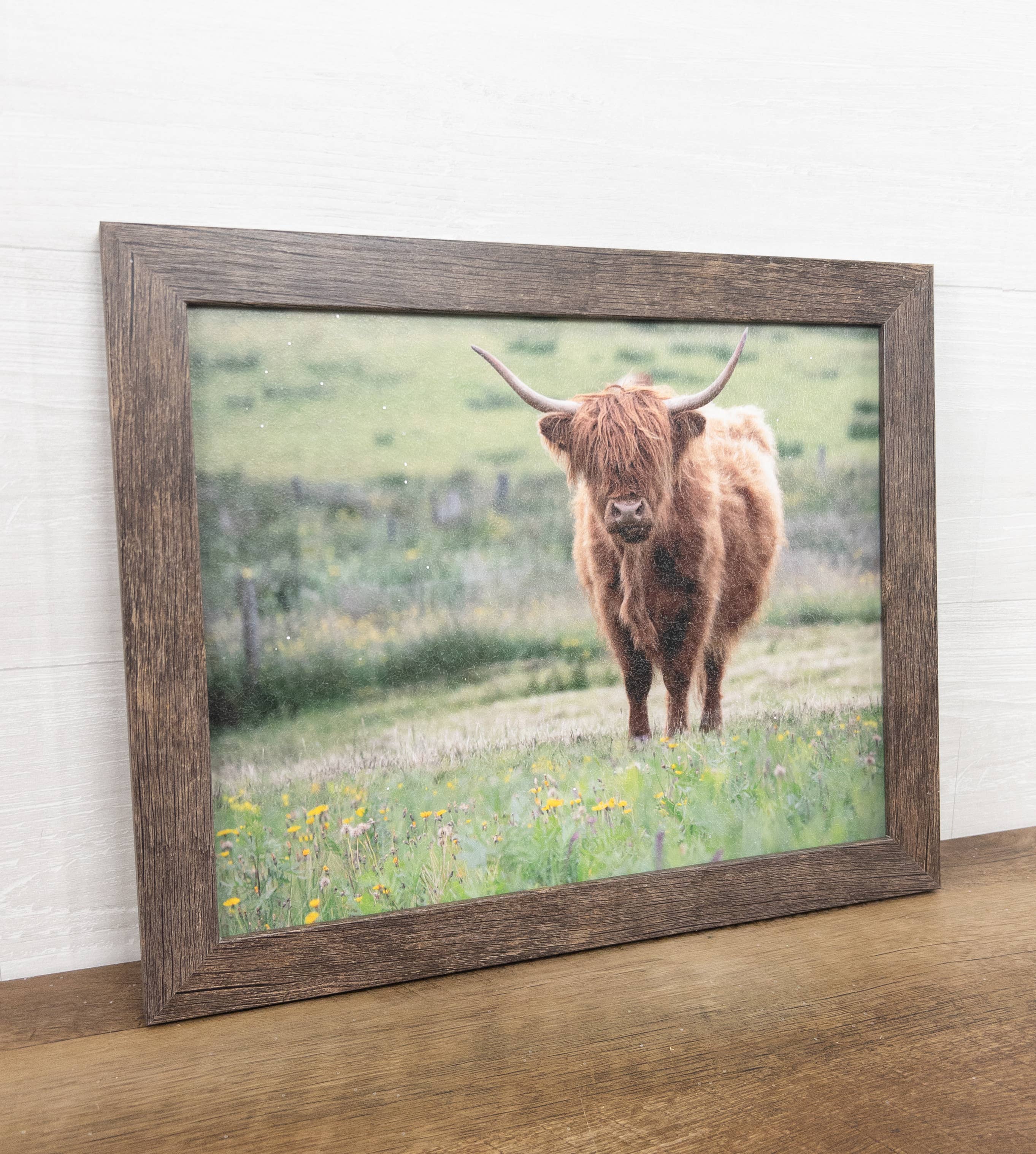 Summer Snow Art - Wholesale Art Print - Highland Cow Cattle Framed Art Picture Sign2