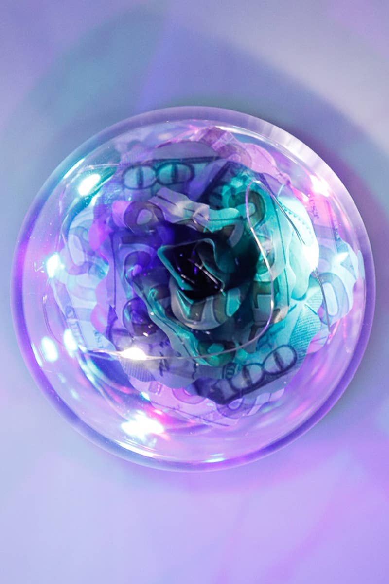  DOLLAR Money Rose Glass Dome Led Light Stand for wholesale on Faire1