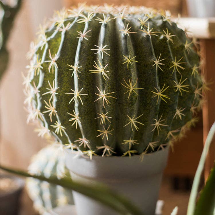 Rustic Reach - Wholesale Artificial Plant - Artificial Potted Cactus Ball11