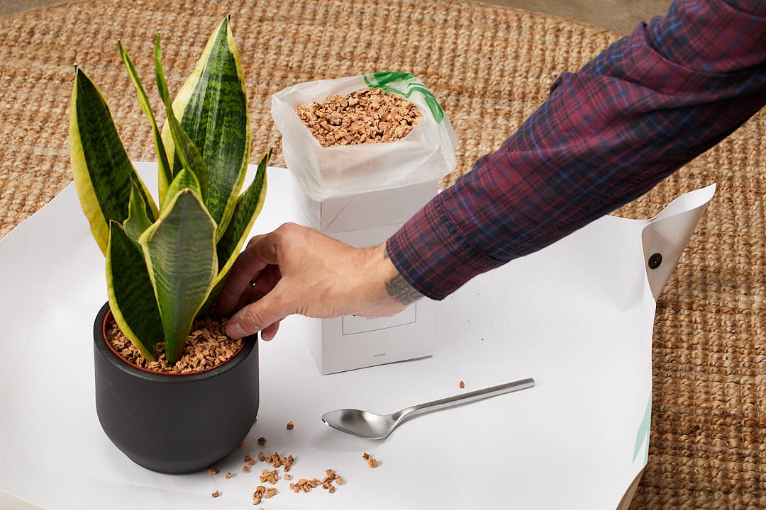 Generosa - Wholesale Planting/Potting Soil - NATURAL MULCH | Soil Topper Cork Granules 1000 ml7