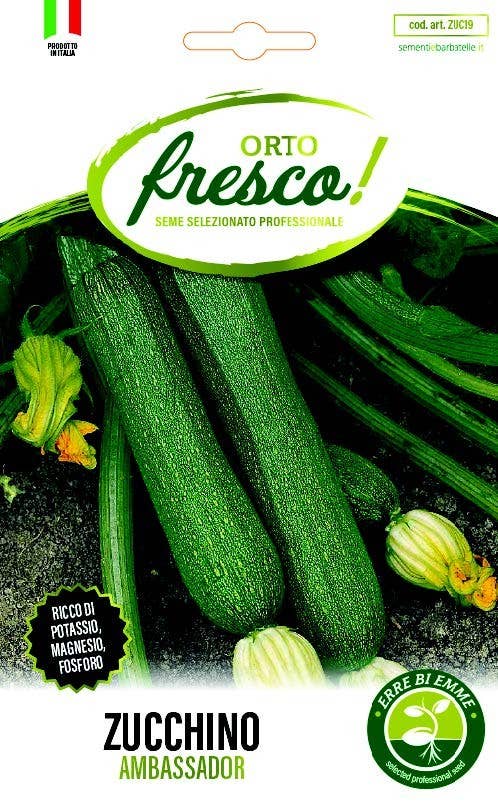Sementi & Barbatelle - Venta al por mayor Semillas de plantas - Calabacín Ambassador0