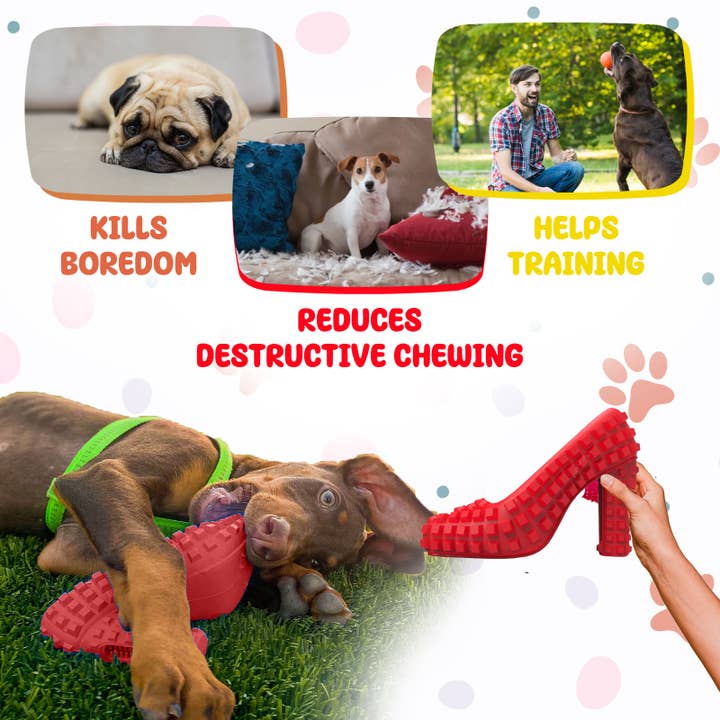 TOME DOG TOYS - Wholesale Pet Chew Toy - Dog - Dog Chew Toy & Toothbrush – For Aggressive Chewers | Durable4