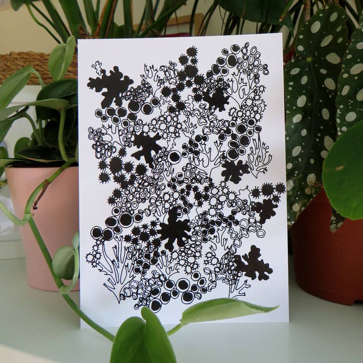 Impression d'illustration de lichen en 5x7 » pour la vente par Kathryn Churn Designs