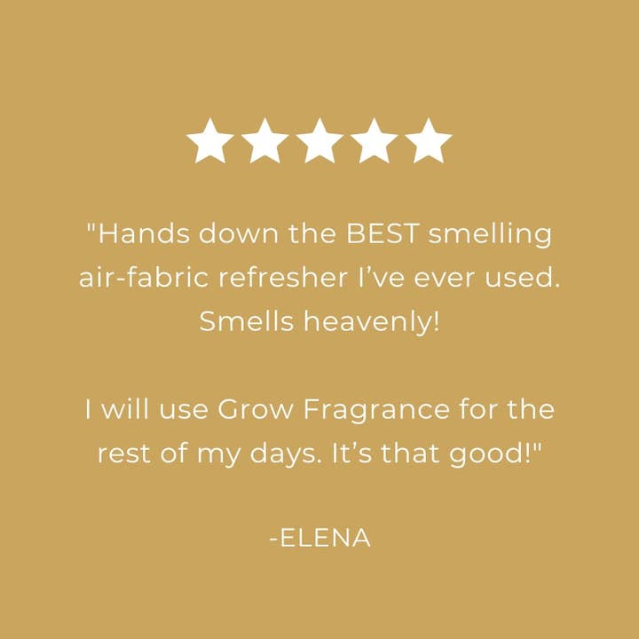 Grow Fragrance - Wholesale Room & Linen Spray - Blondewood Air + Fabric Spray4
