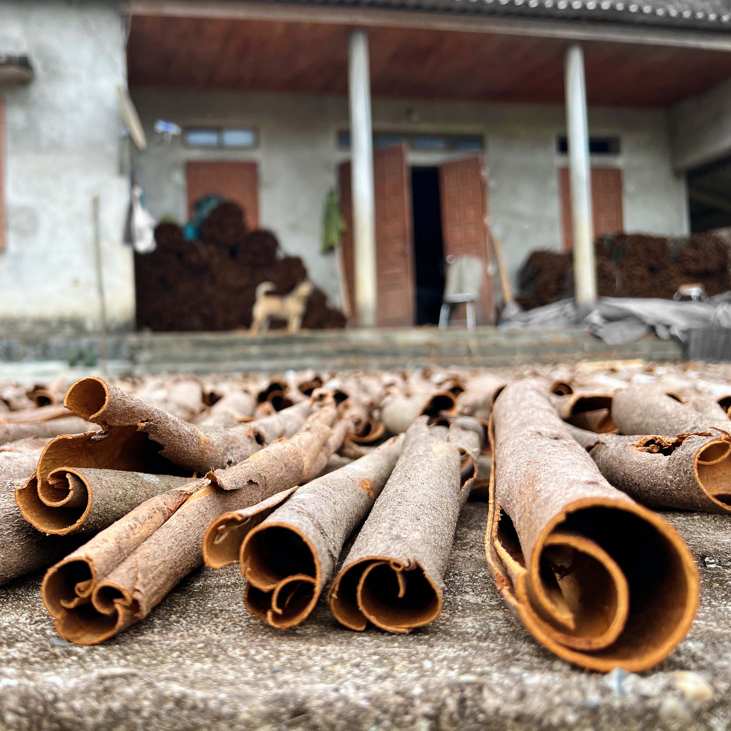 Curio Spice Co - Wholesale Rub - Da Lat Spice4