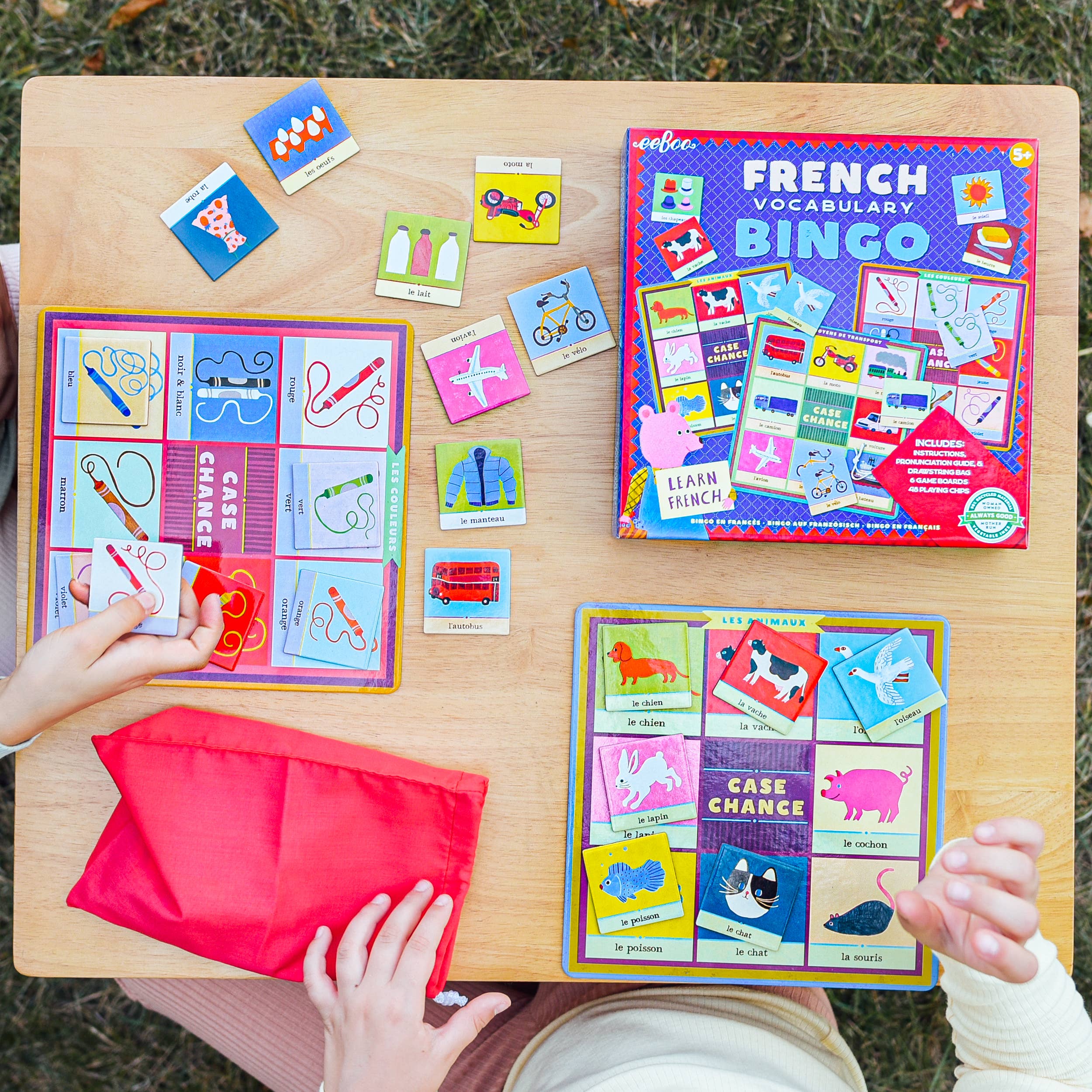eeBoo - Wholesale Brain Game - Kids - French Bingo4
