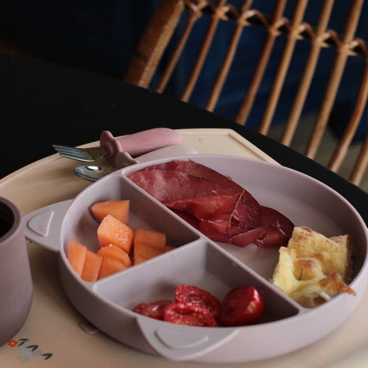 Soina - Wholesale Dinner Plate - Kids & Baby - Silicone plate with compartments (Tortora)4