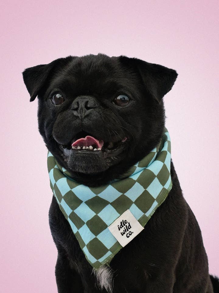 Kæledyrsbandana | Oliventernet for engroshandel hos Idlewild Co.