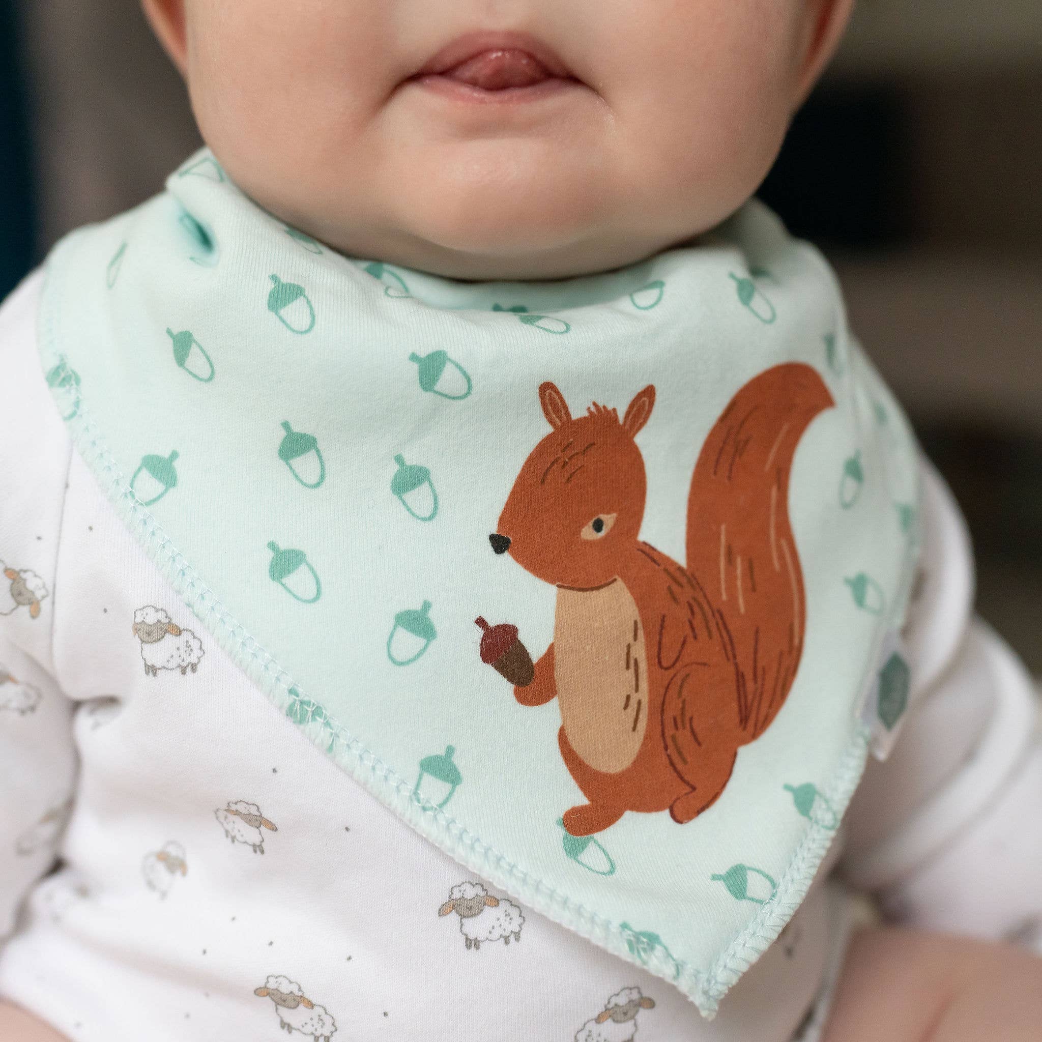 Ziggle Baby – wholesale Bib – Baby – Woodland bib set8