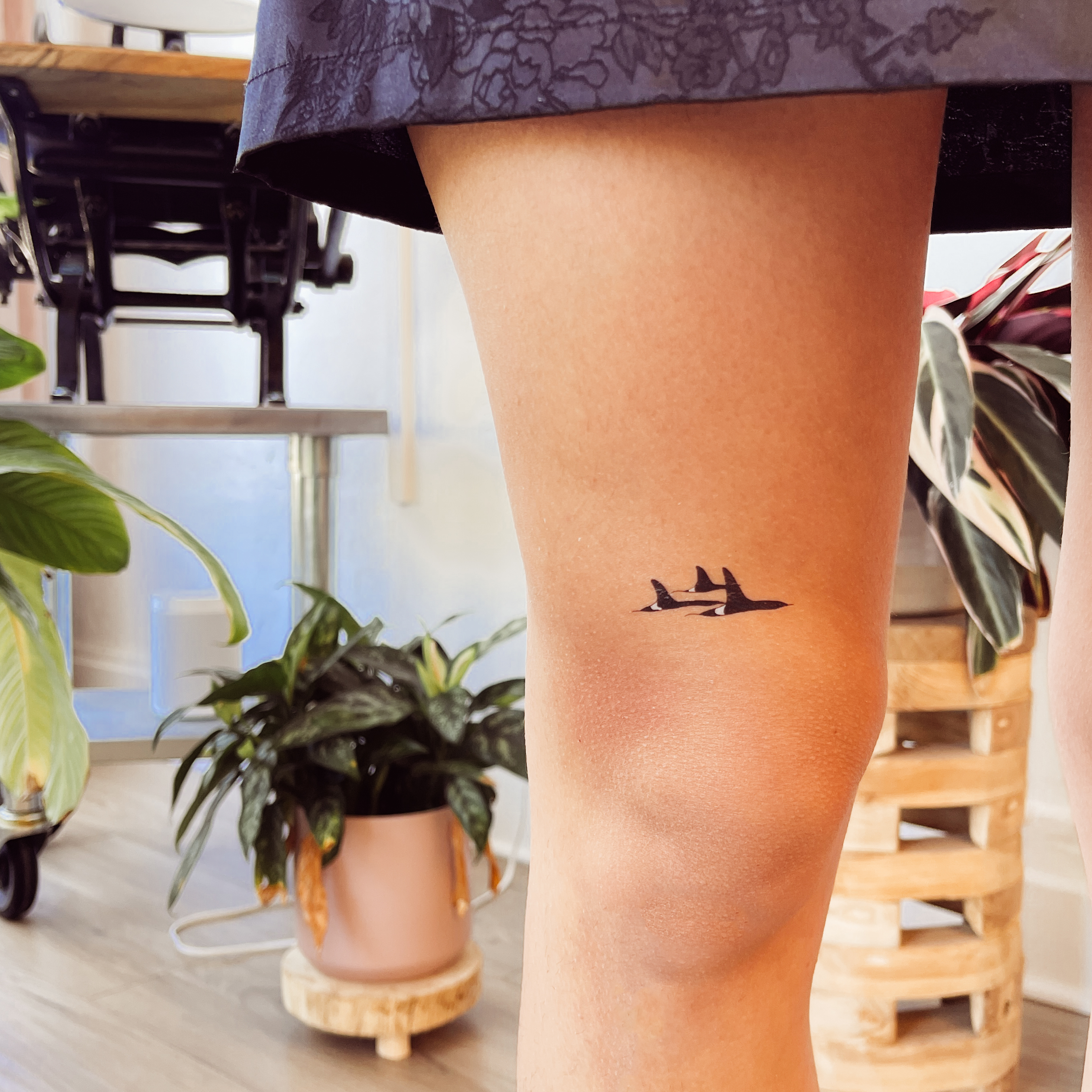 Sablewood Paper Company - Wholesale Temporary Tattoo - Orca Pod Temporary Tattoo1