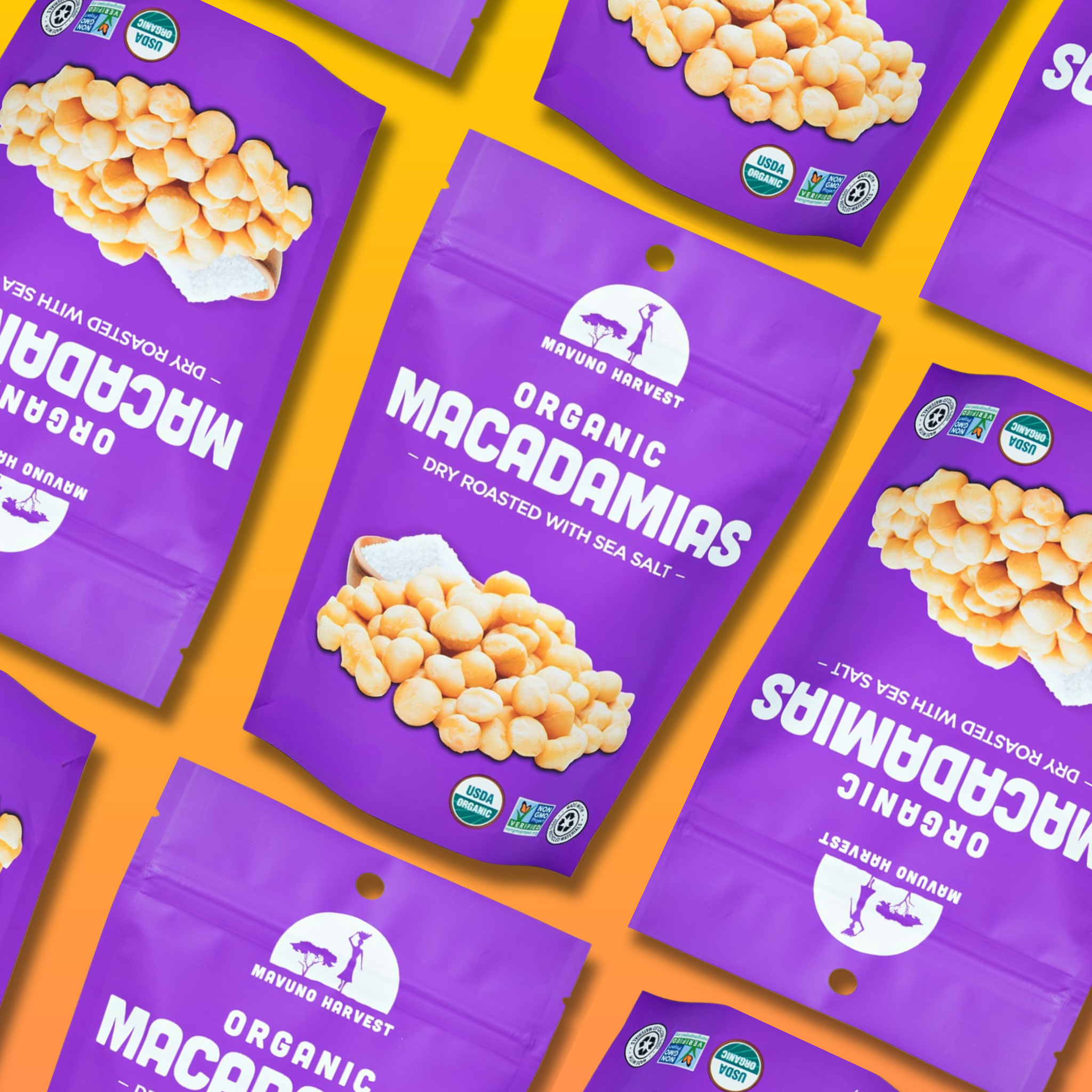 Mavuno Harvest Organics - Vente Noix - Noix de macadamia biologiques grillées à sec avec sel de mer, boîte de 6.4