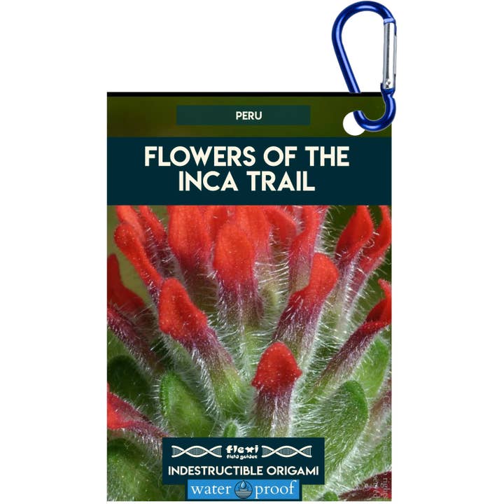 Blumen des Inka-Pfads-Unzerstörbares Origami für den Großhandel von Flexi Field Guides
