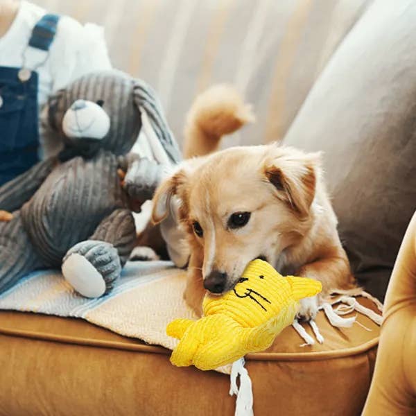 Nobleza – wholesale Leksak - Hund – Nobleza mjukisdjur för hund med ljud – apa2