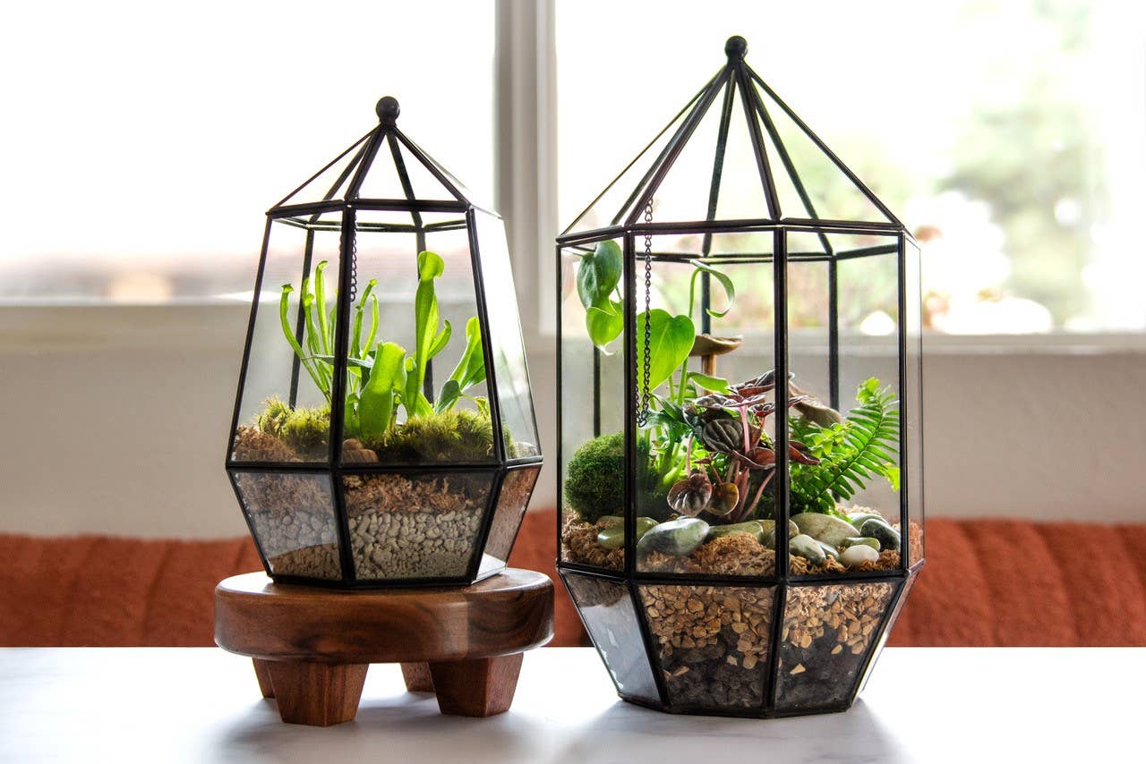 SuperMoss - Wholesale Terrarium - Glass Terrarium5