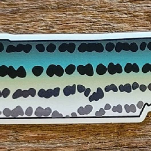 Tennessee Striper Skin Sticker for wholesale by creeknuts.com