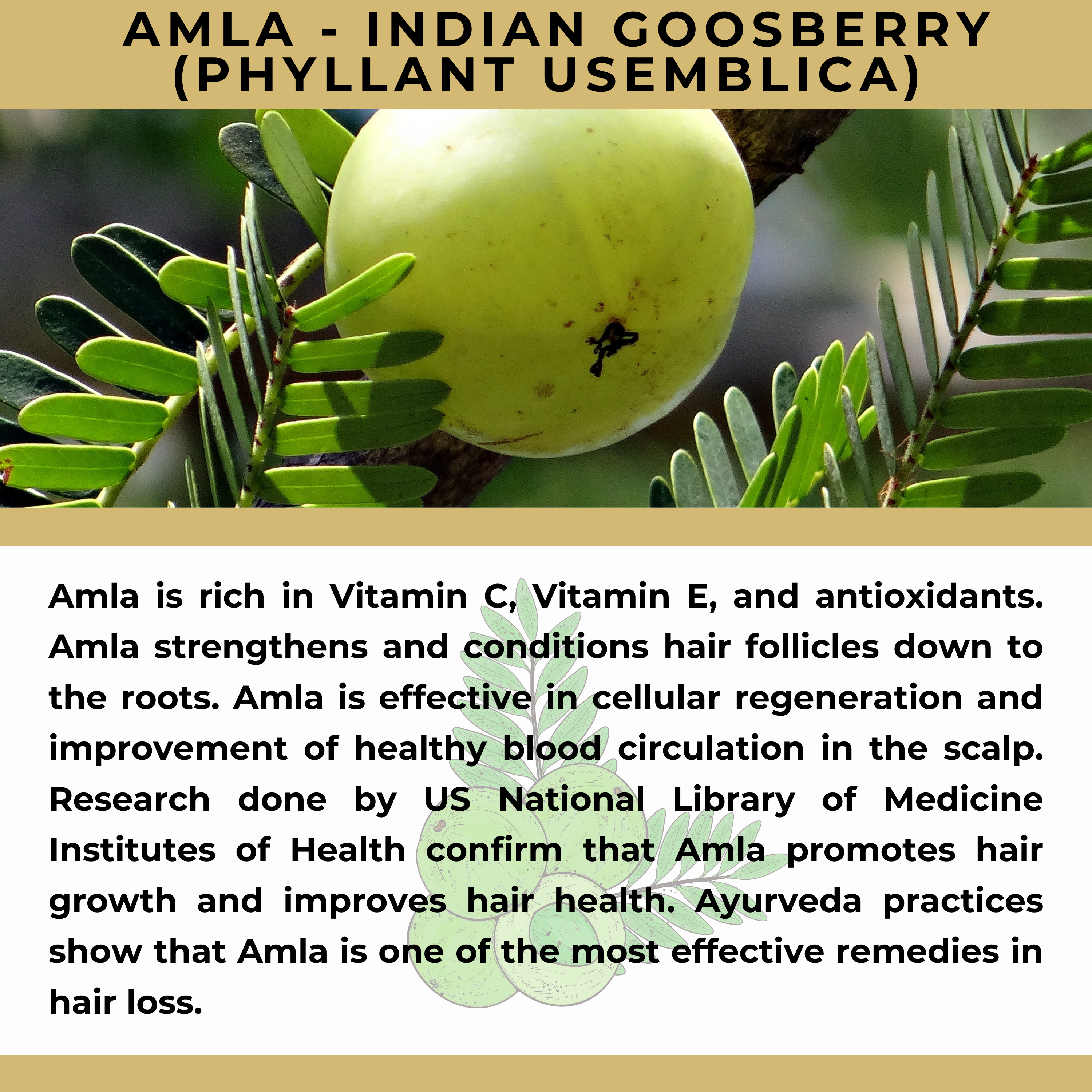 The Sacred Essence - Wholesale Hair Serum - MANA Ayurveda Hair Restoration Serum - Hair Superpower22