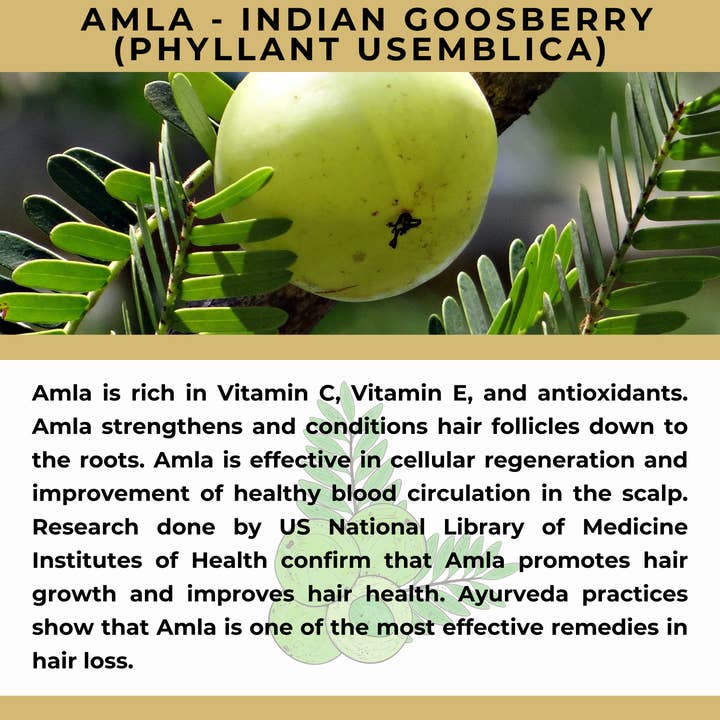 The Sacred Essence - Wholesale Hair serum - MANA Ayurveda Hair Restoration Serum - Hair Superpower22