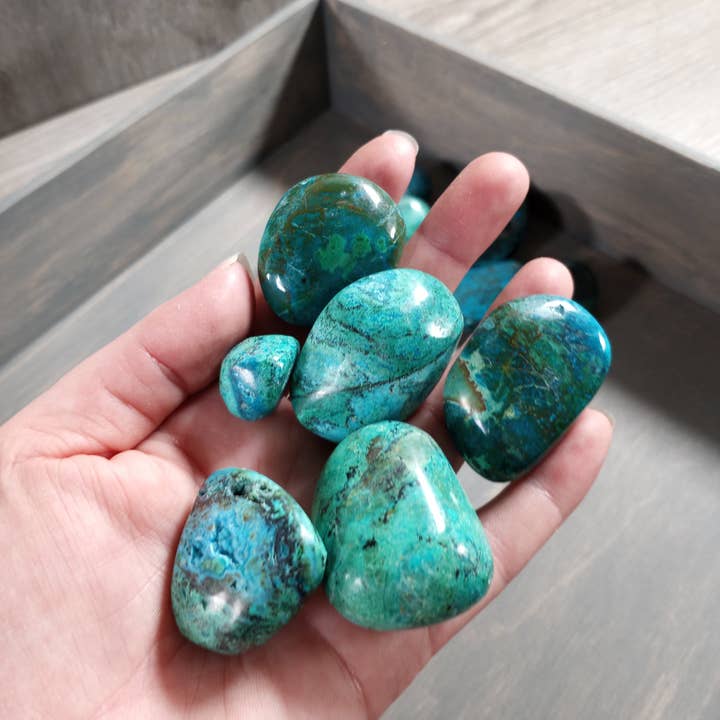 Keystone Crystals - Wholesale Spiritual Stone/Crystal - Chrysocolla Tumbled Stone - 1 lb Bulk Lot Premium Wholesale