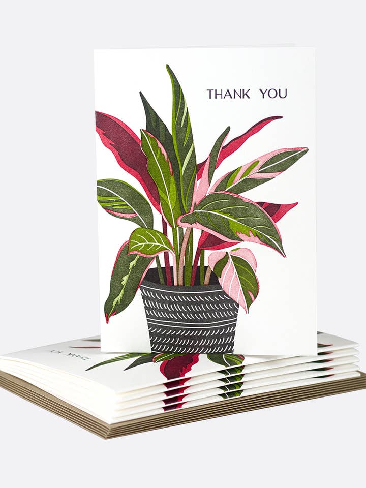 TY, Pretty Plant - Boxed Note Cards for wholesale by Elum Designs