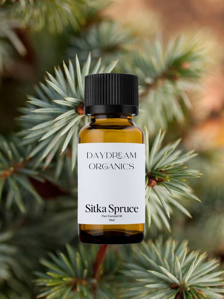 Sitka Spruce Essential Oil for wholesale by Daydream Organics | Prairie Doctor Brand