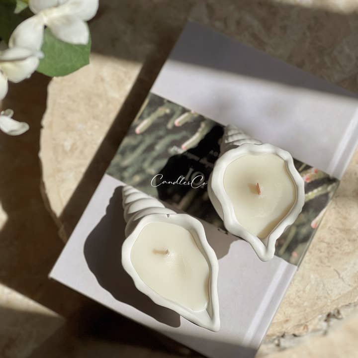 CandlesCo Australia - Wholesale Jar/filled candle - Shell Soy Wax Candle – Coastal Decor by CandlesCo7