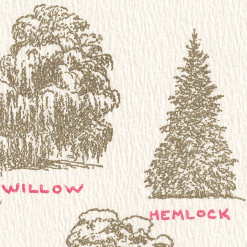 Saturn Press - Wholesale Everyday Greeting Card - Tree Lore2