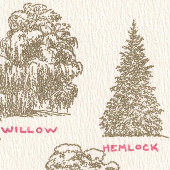 Saturn Press - Wholesale Everyday Greeting Card - Tree Lore2