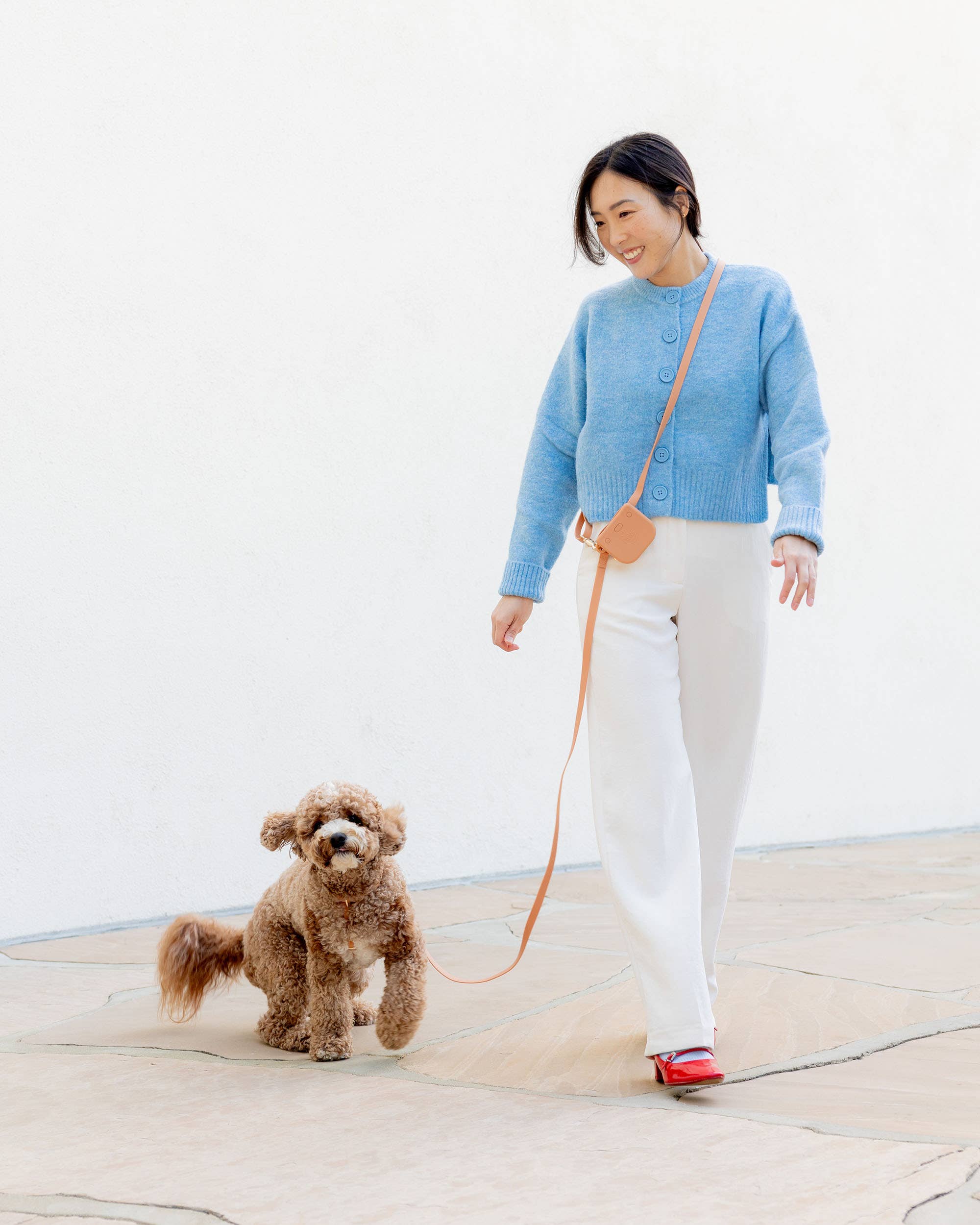 SUNNY TAILS - Wholesale Pet Leash - Dog - Chai Brown 4-in-1 Convertible Hands Free Cloud Dog Leash1