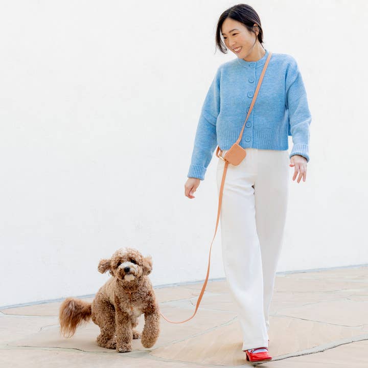 SUNNY TAILS - Wholesale Pet Leash - Dog - Chai Brown 4-in-1 Convertible Hands Free Cloud Dog Leash1