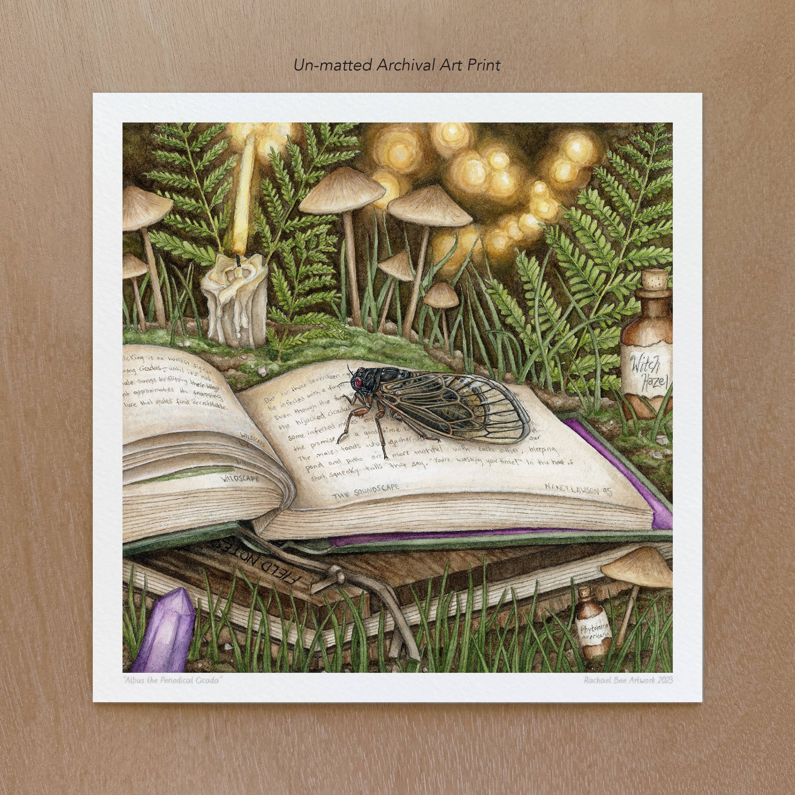 Rachael Bee Artwork - Wholesale Art Print - Periodical Cicada Art Print