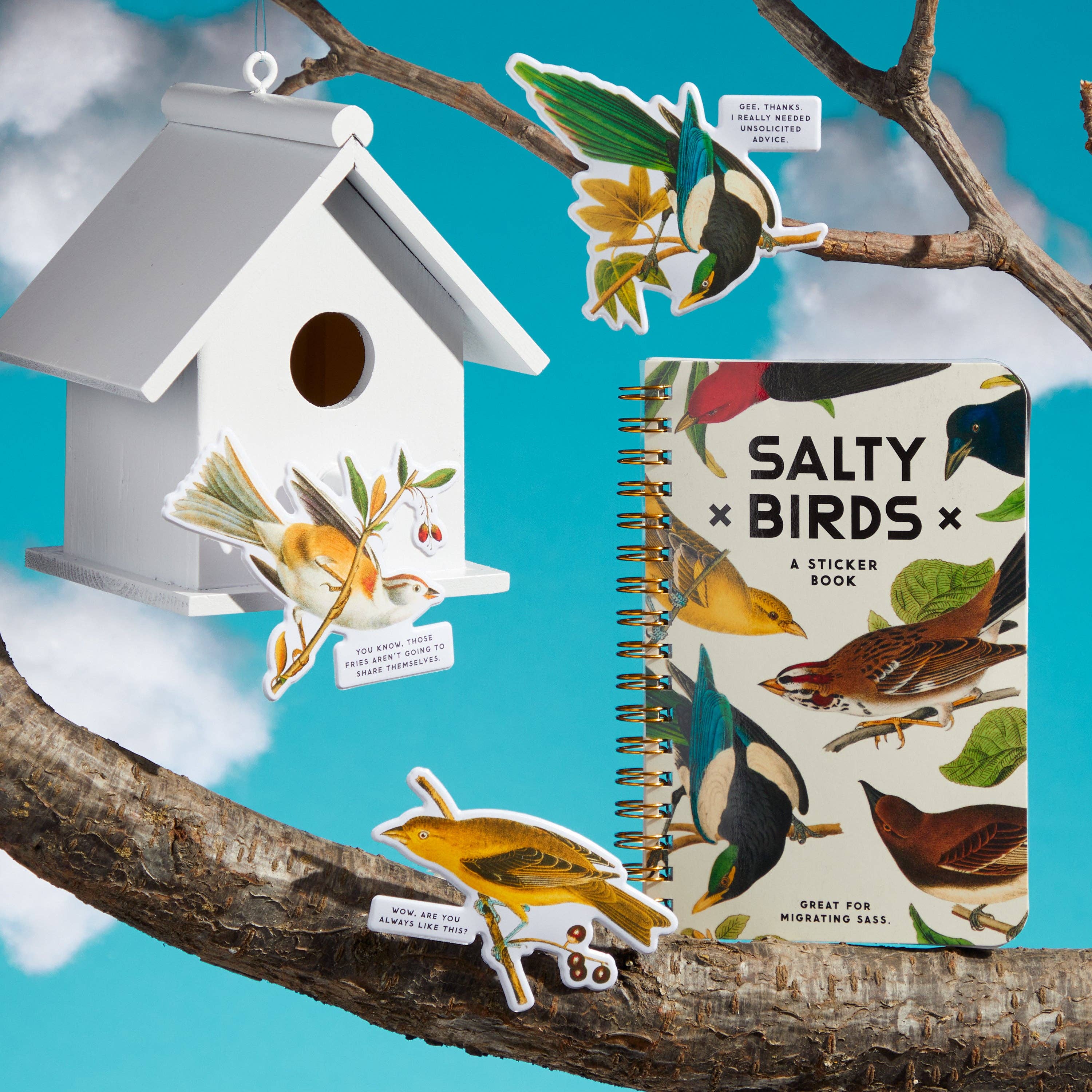 Abrams & Chronicle Books – wholesale Sticker – Salty Birds Sticker Book (Sticker Book or Pack)10
