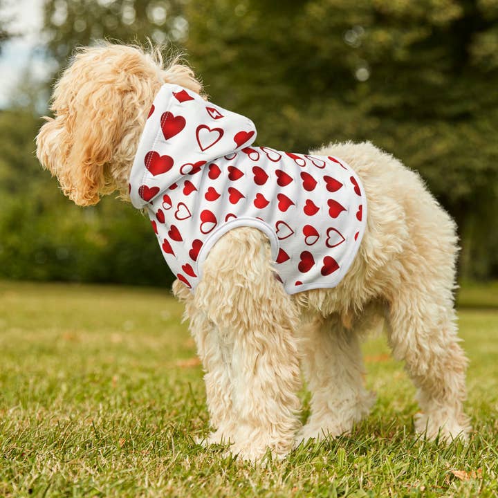 Dog Hoodie for wholesale by Hearth Home & Living