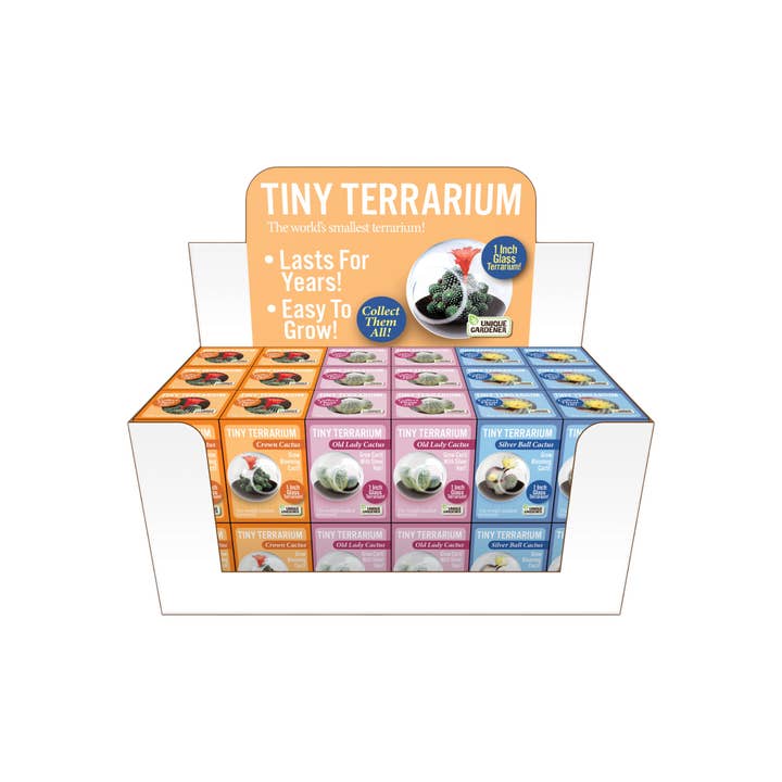 Silver Circle Products - Wholesale Retailer Display - Home & Living - Tiny Terrarium Cactus Counter Display with 3 Varieties