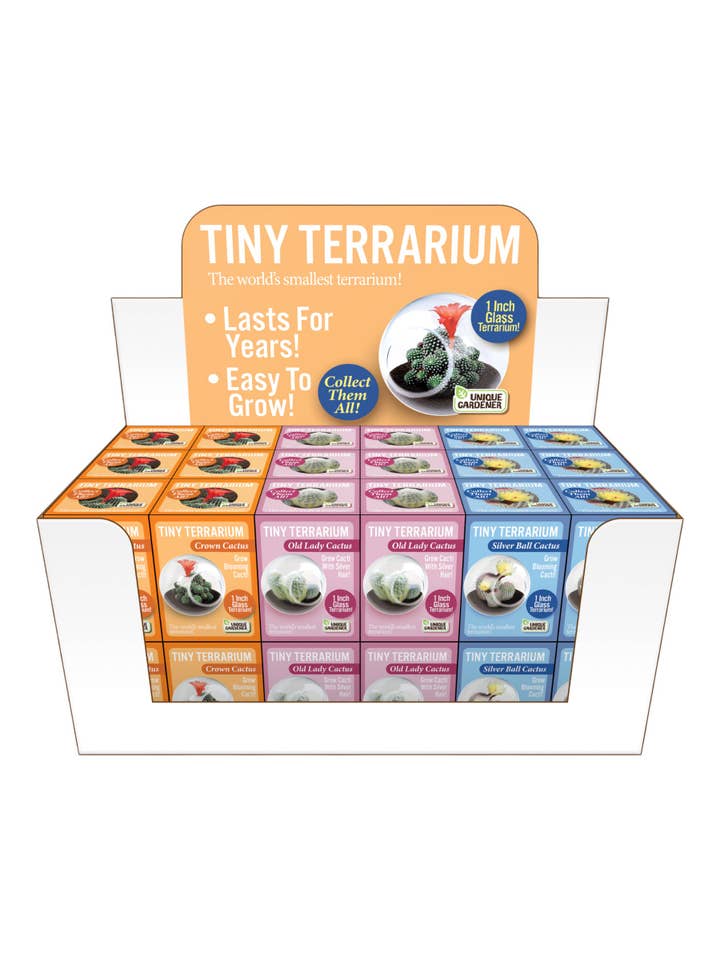 Petit présentoir à cactus pour terrarium avec 3 variétés pour la vente par Silver Circle Products